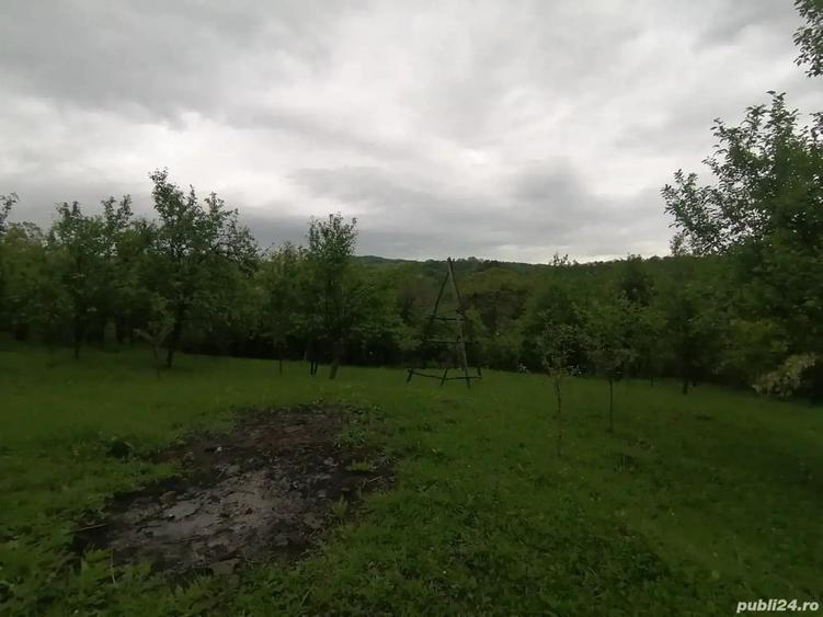 Teren de 4650 mp, în Lunca Mare