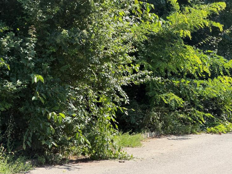 Teren Construcții intravilan de 7500 mp, în 1 Decembrie