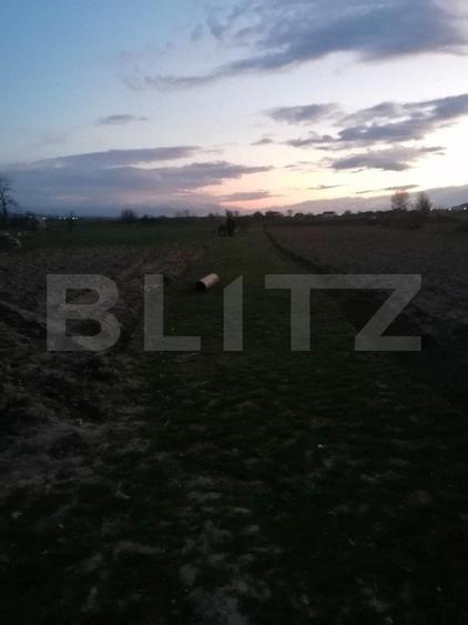 Teren Construcții intravilan de 2900 mp, în Vințu de Jos