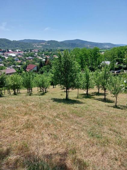 Teren de 4465 mp, în Nord