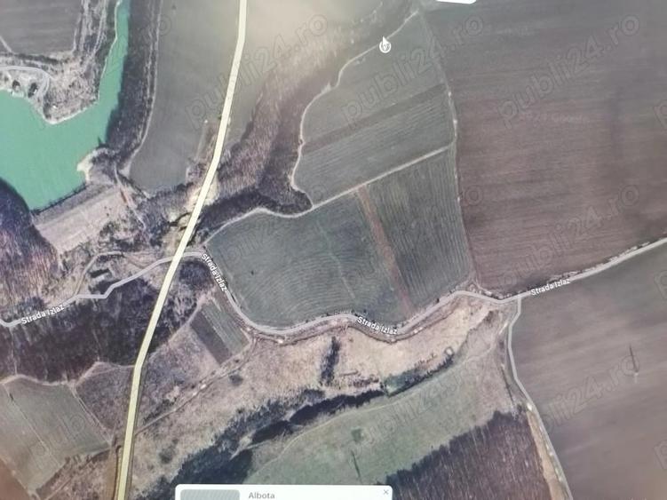 Teren în Albota