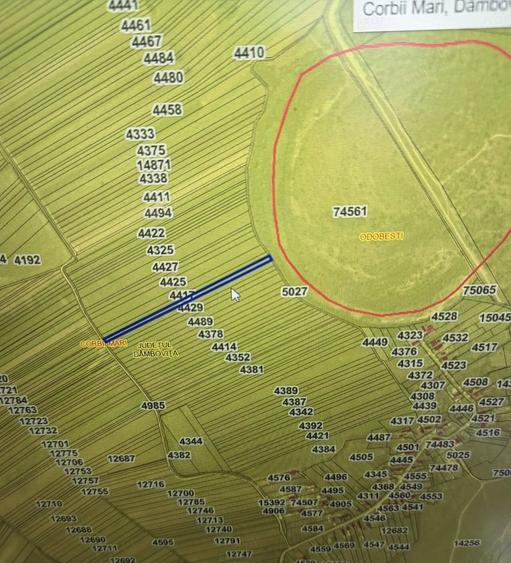 Teren de 10900 mp, în Corbii Mari