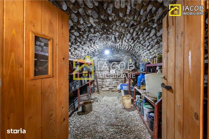 Casă cu 4 camere decomandat cu Teren 3762 Mp în Coman