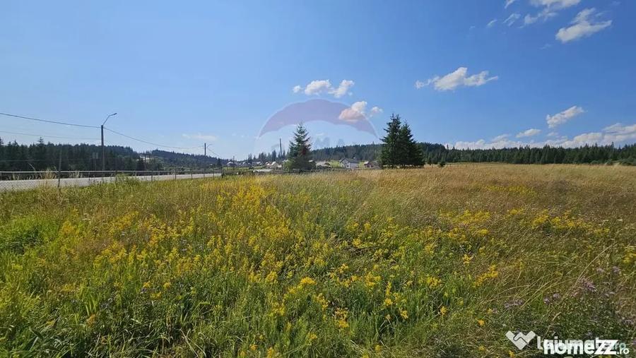 Teren de 30930 mp, în Poiana Stampei