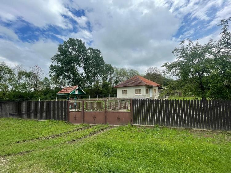 Casă cu 2 camere în Alimpești