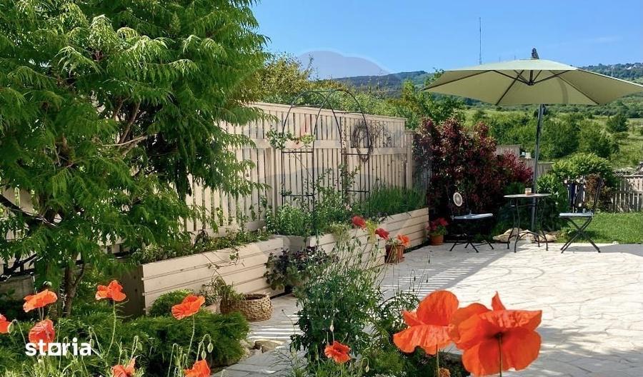 Casă cu 7 camere decomandat cu Teren 470 Mp în Borhanci