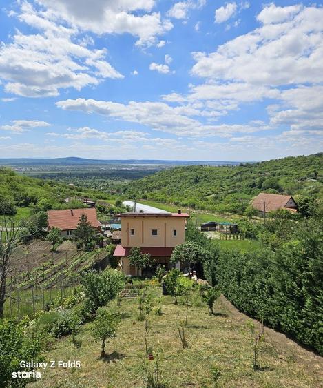 Casa noua Podgoria, 1035 mp teren - 8