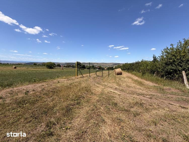 Teren 2.900 mp - 900 mp intravilan Jucu de Sus Panorama Investitie - 7