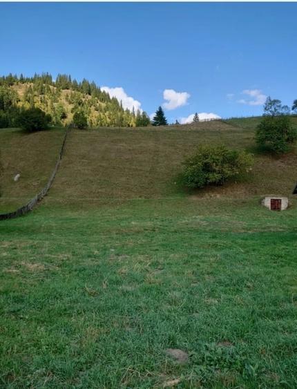 Teren Construcții intravilan de 1724 mp, în Ortoaia