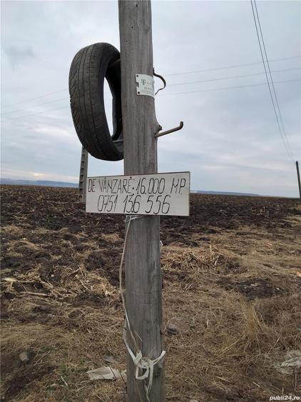 Teren de 16000 mp, în Central
