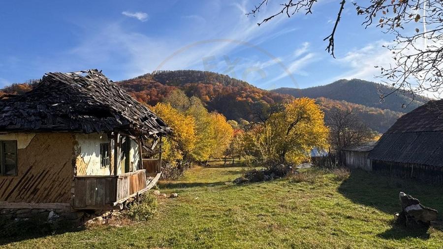 Teren Construcții intravilan de 7500 mp, în Sălătrucu