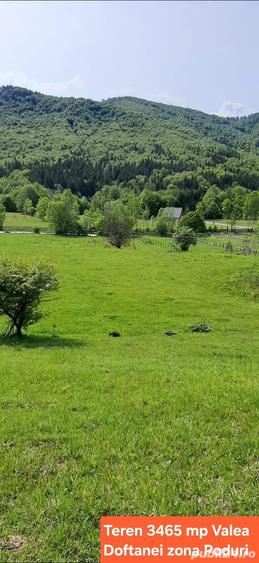 Teren de 3465 mp, în Trăisteni