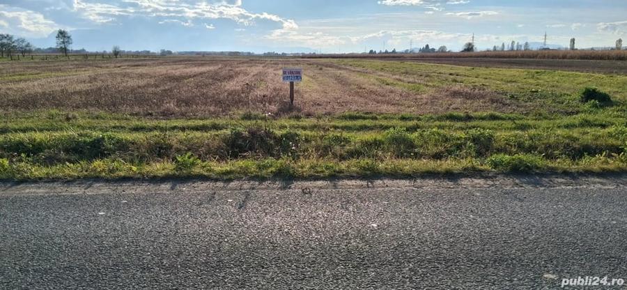 Teren de 2600 mp, în Lunca Ozunului