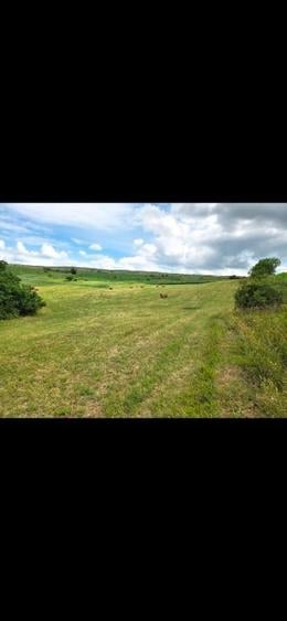 Teren agricol extravilan de 11500 mp, în Pata