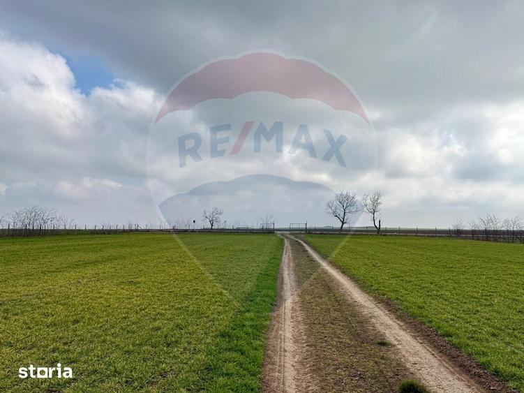 Teren de vanzare in Sacele ideal pentru silozuri, ferma 6 ha - 17