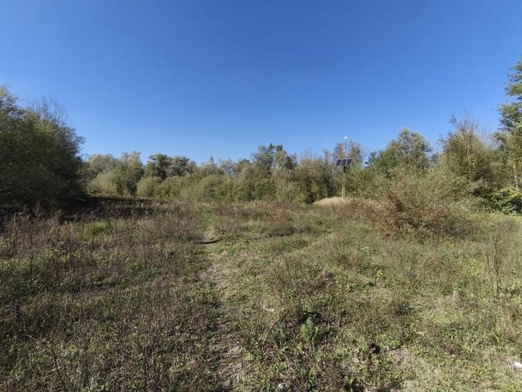 Teren Construcții intravilan de 7178 mp, în Frătăuții Vechi