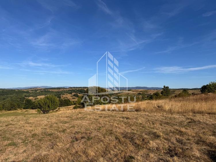 Teren agricol extravilan de 50000 mp, în Izvoarele
