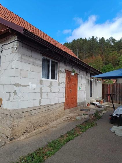 Casă cu 4 camere în Căpușu Mare