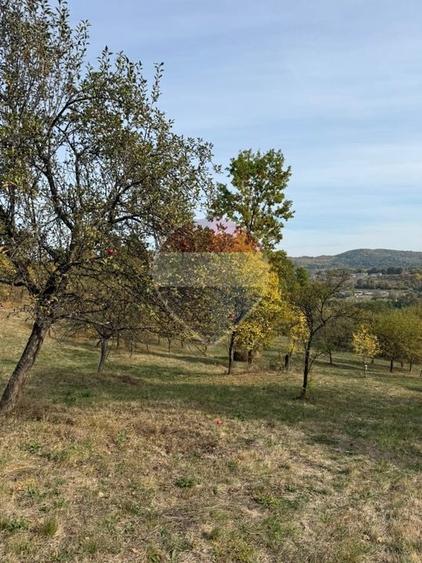 Teren agricol extravilan de 13340 mp, în Giulești