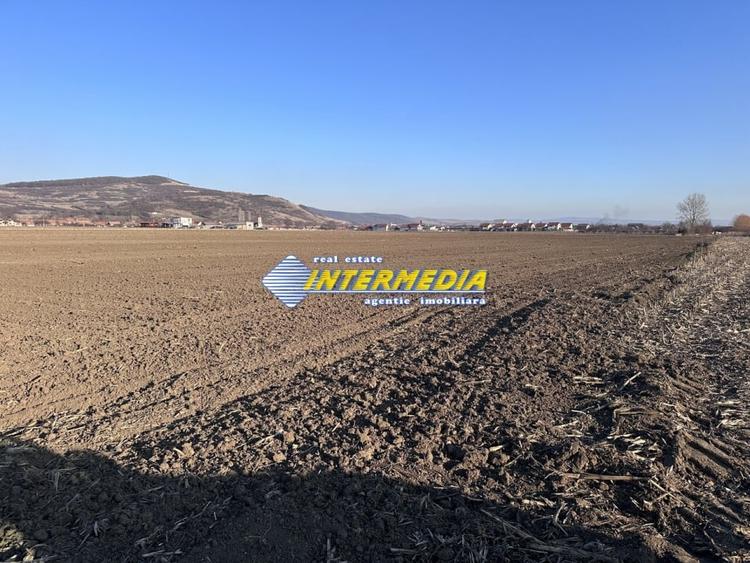 Teren Construcții intravilan de 600 mp, în Șard