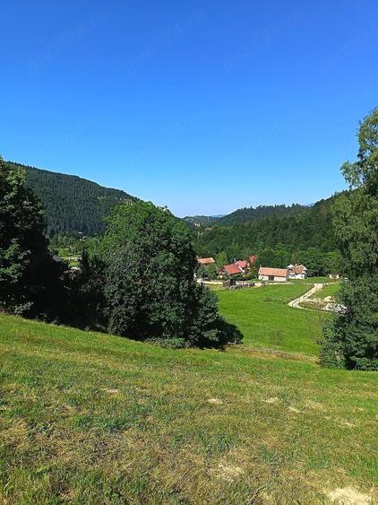 Teren de 8000 mp, în Bran