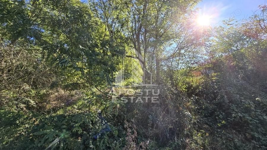 Teren de 3260 mp, în Cuied
