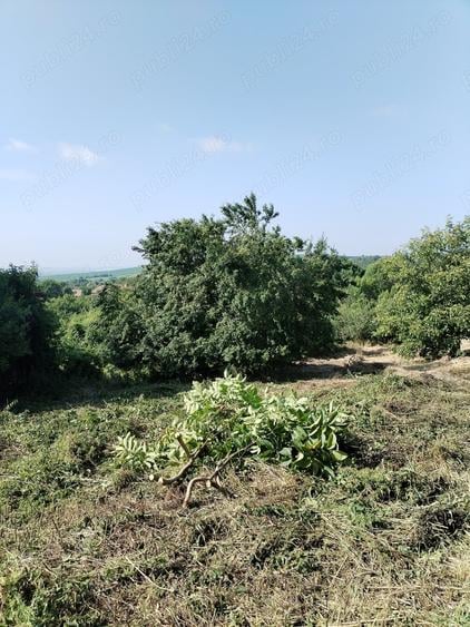 Teren de 2200 mp, în Aiton