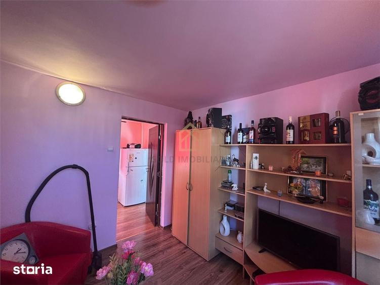 Casa de vanzare cu 13 Ar de teren Miron Costin - 10