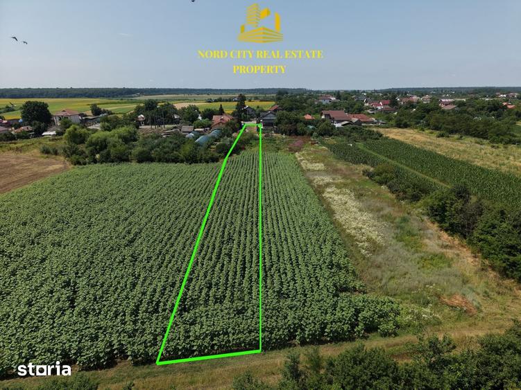 Teren de 2700 mp, în Ciocănești