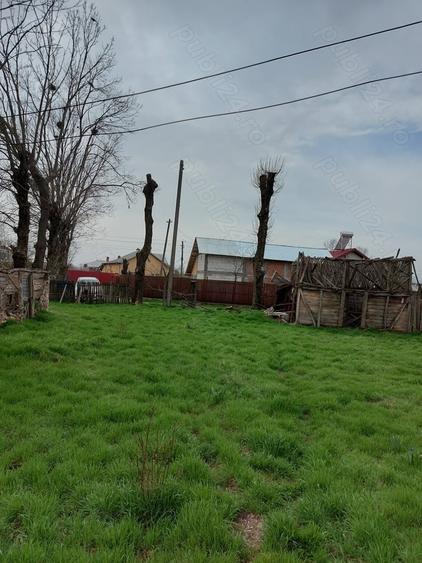 Teren de 2137 mp, în Șerbănești (Rociu)