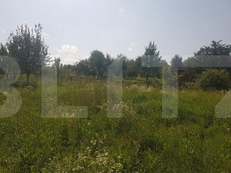 Teren Construcții intravilan de 11600 mp, în Apahida