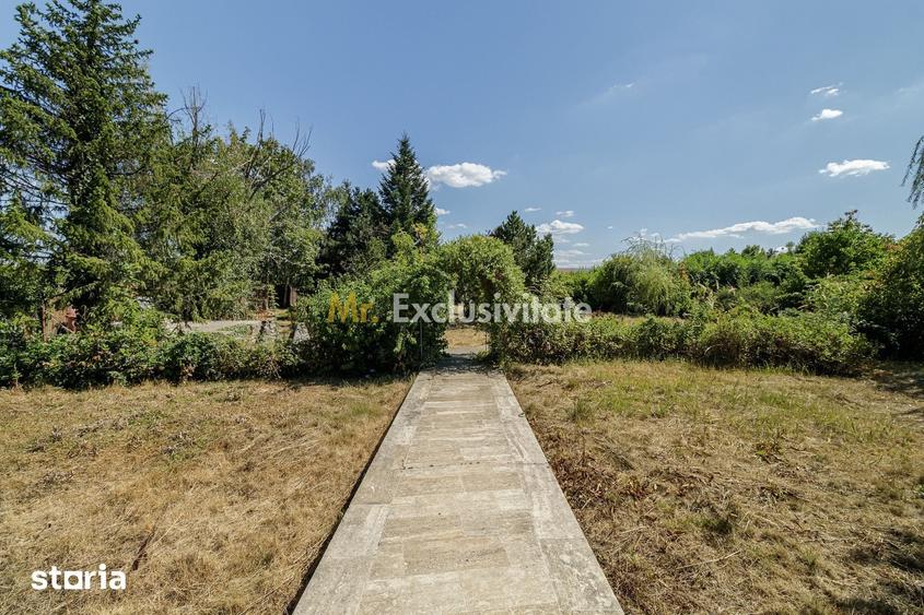 Casă cu Teren 5000 Mp în Corbeanca