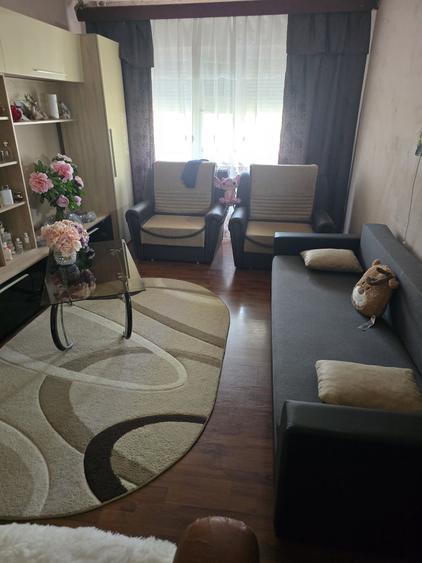 Apartament cu 2 camere decomandat, mobilat în Freidorf