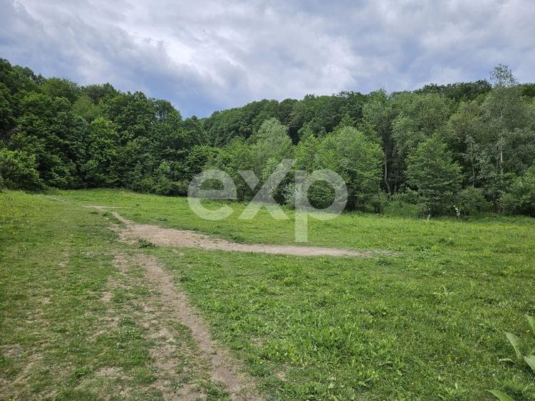 Teren agricol extravilan de 11935 mp, în Mărgineni