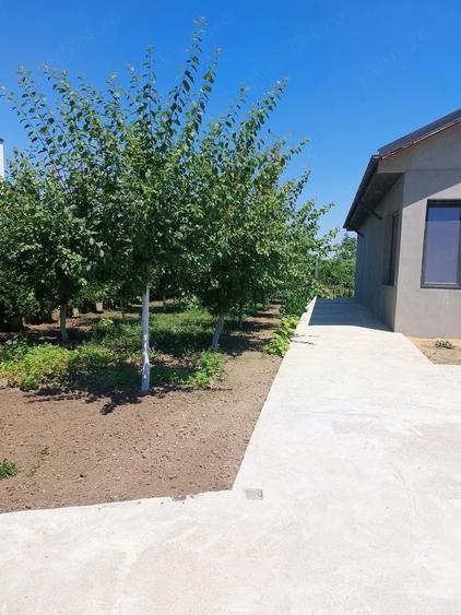 Casă cu Teren 1180 Mp în Central