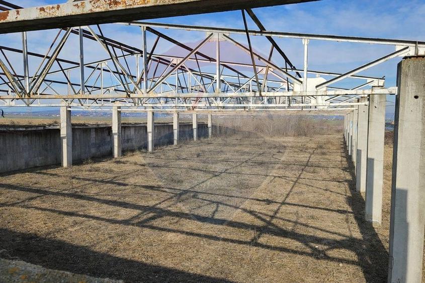Teren Construcții intravilan de 8412 mp, în Albert