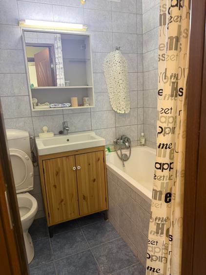 3 camere Drumul Taberei metrou Râul Doamnei - 10