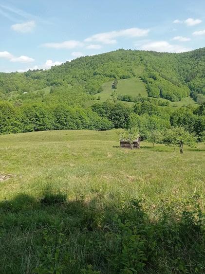Teren de 20000 mp, în Gura Cornei