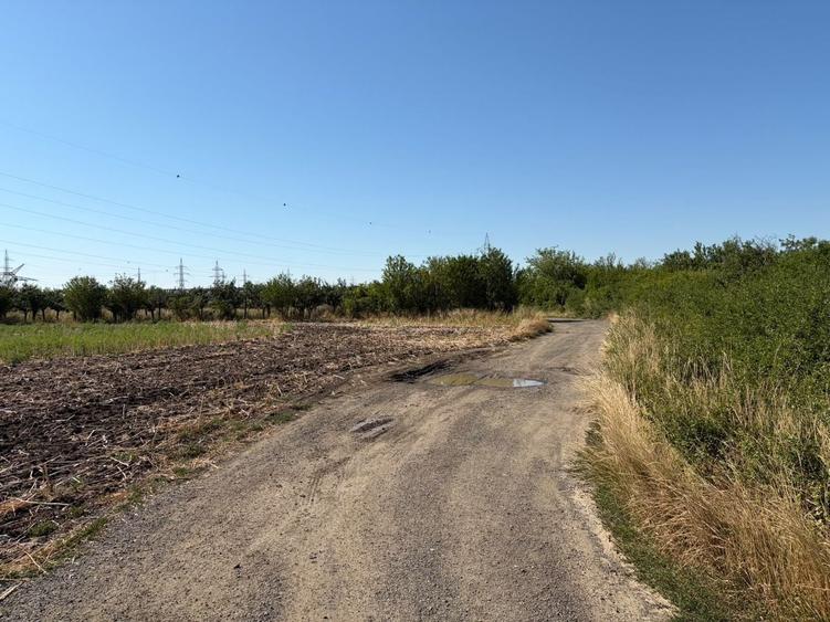 Teren agricol extravilan de 35000 mp, în Exterior Vest