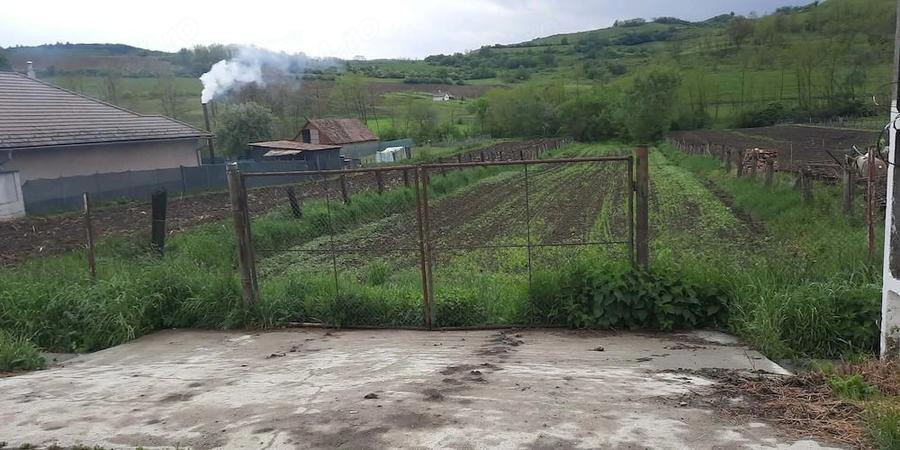 Teren de 1625 mp, în Șmig