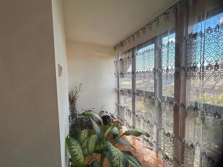 Casă cu Teren 3000 Mp în Drăguțești