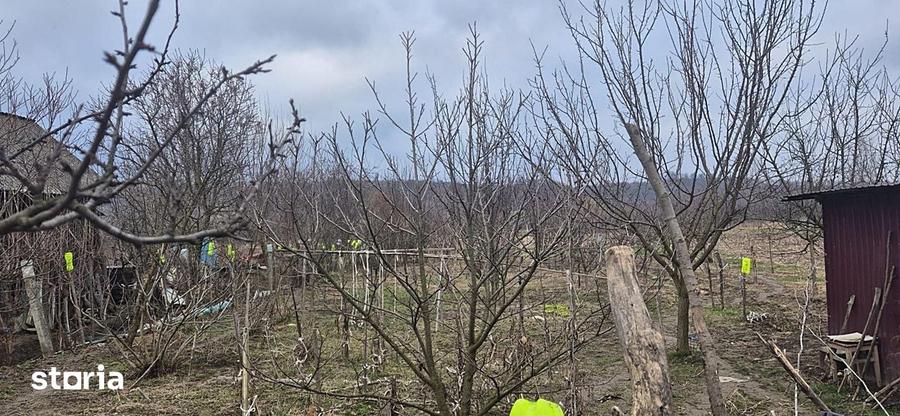 Casă cu 2 camere cu Teren 4000 Mp în Tăut