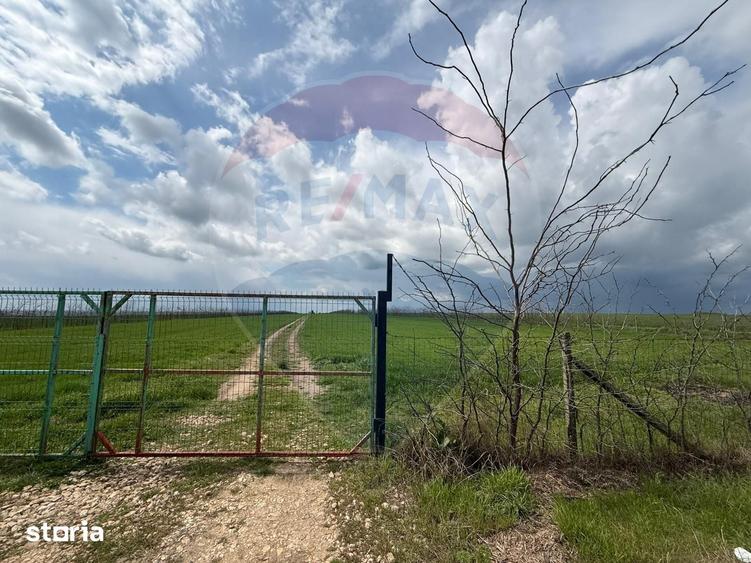 Teren de 60000 mp, în Săcele