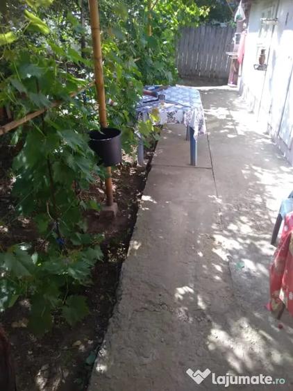 Casă cu 7 camere în Văcăreni