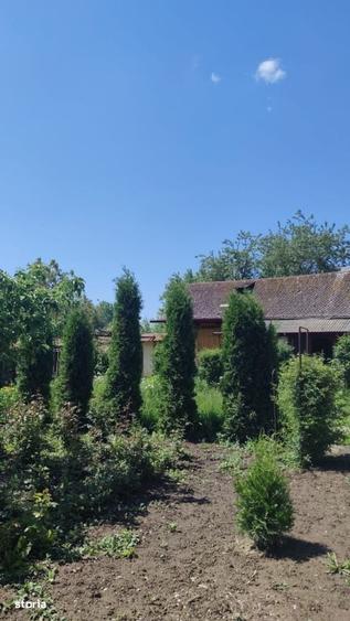 Casă cu 2 camere în Ingărești
