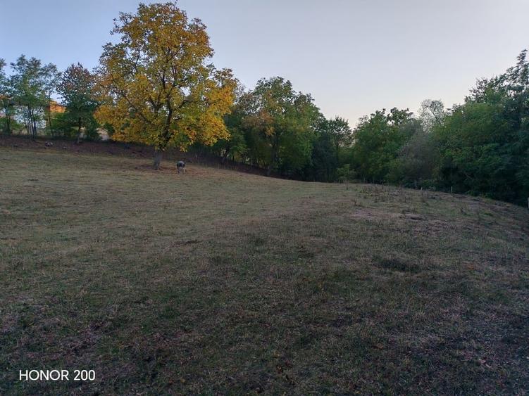 Teren intravilan de 7635 mp, în Baciu