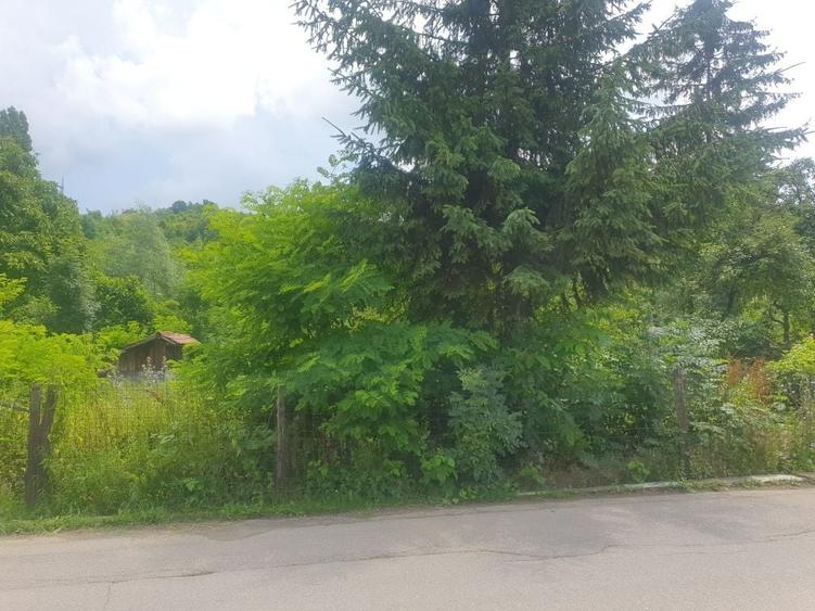 Spațiu comercial, în Central