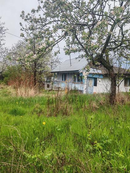 Teren Construcții intravilan de 3160 mp, în Poiana lui Alexa