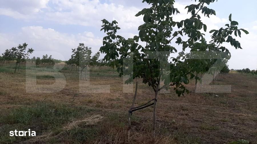 Teren de 405000 mp, în Ivești