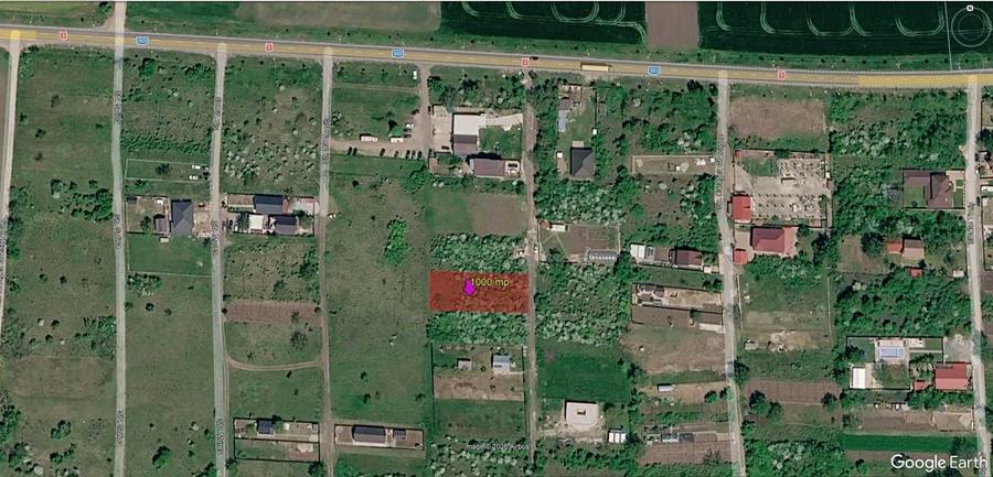 Direct proprietar 1000 mp com Branesti, sat Islaz - 4